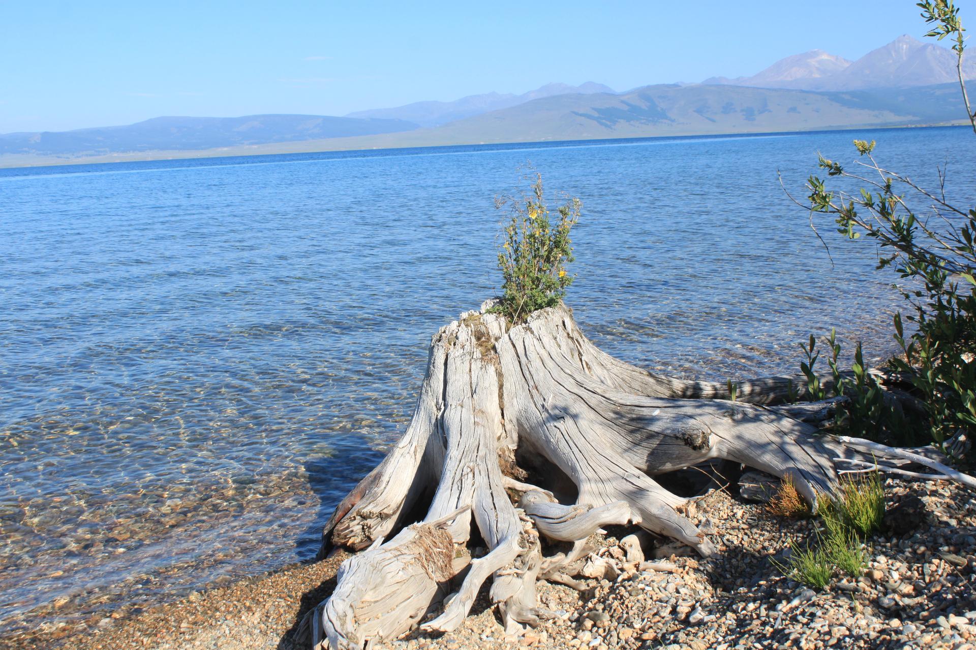 The serene waters of Khuvsgul Lake, surrounded by mountains and forests.