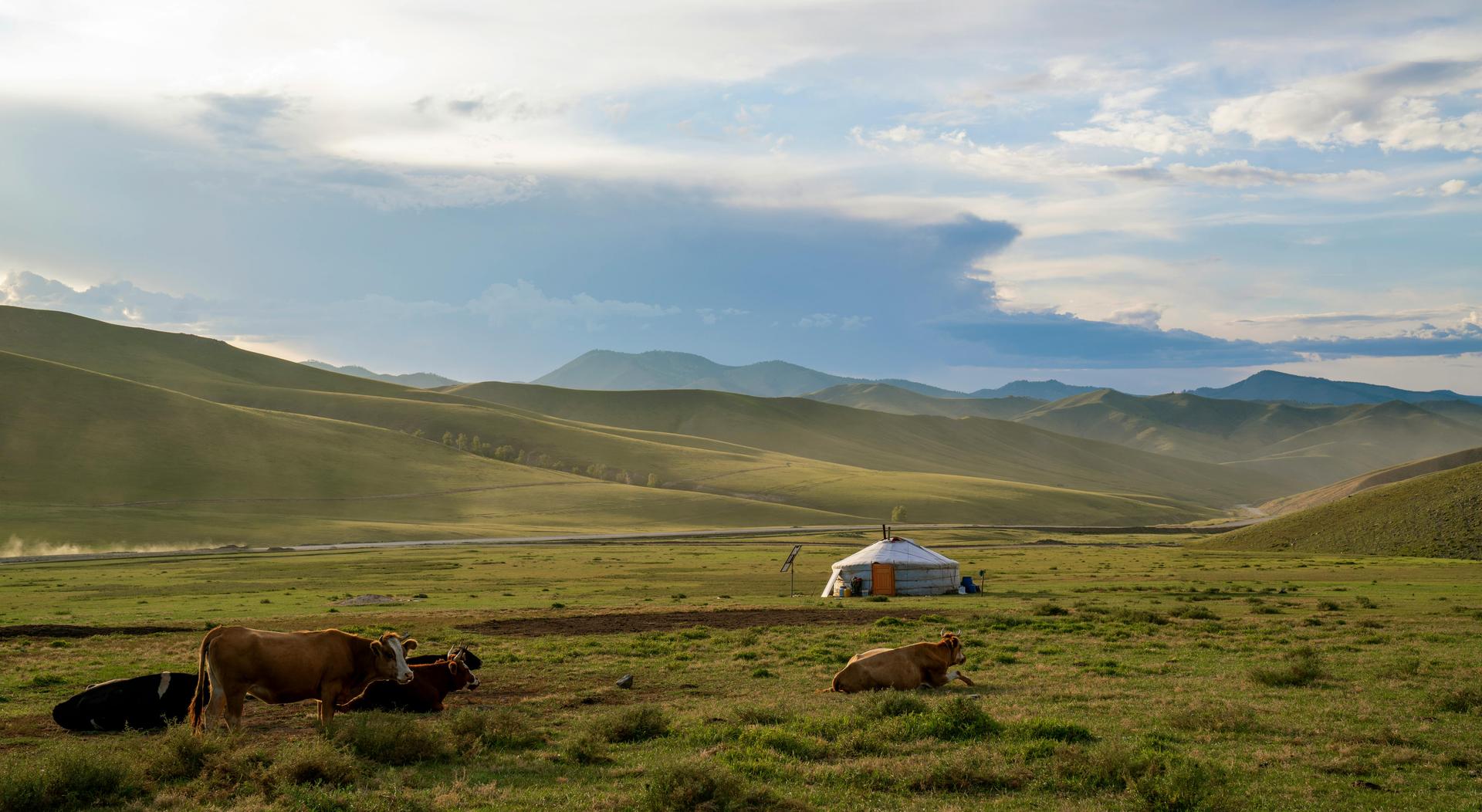 A view of the vast Mongolian steppes with rolling hills and open skies.